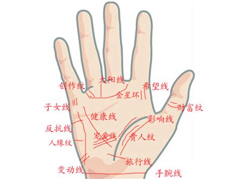 無名指下方橫線|手掌紋路圖解大全